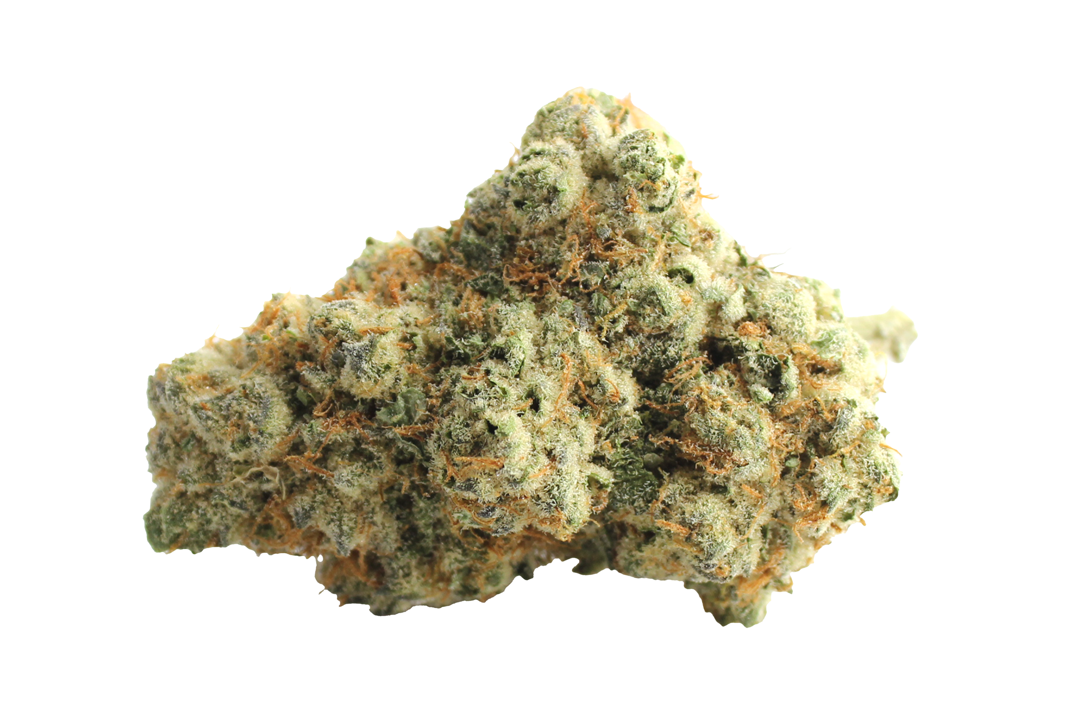 Demecan CRAFT Luna 31/1 Peechy Keen Cannabisbluete