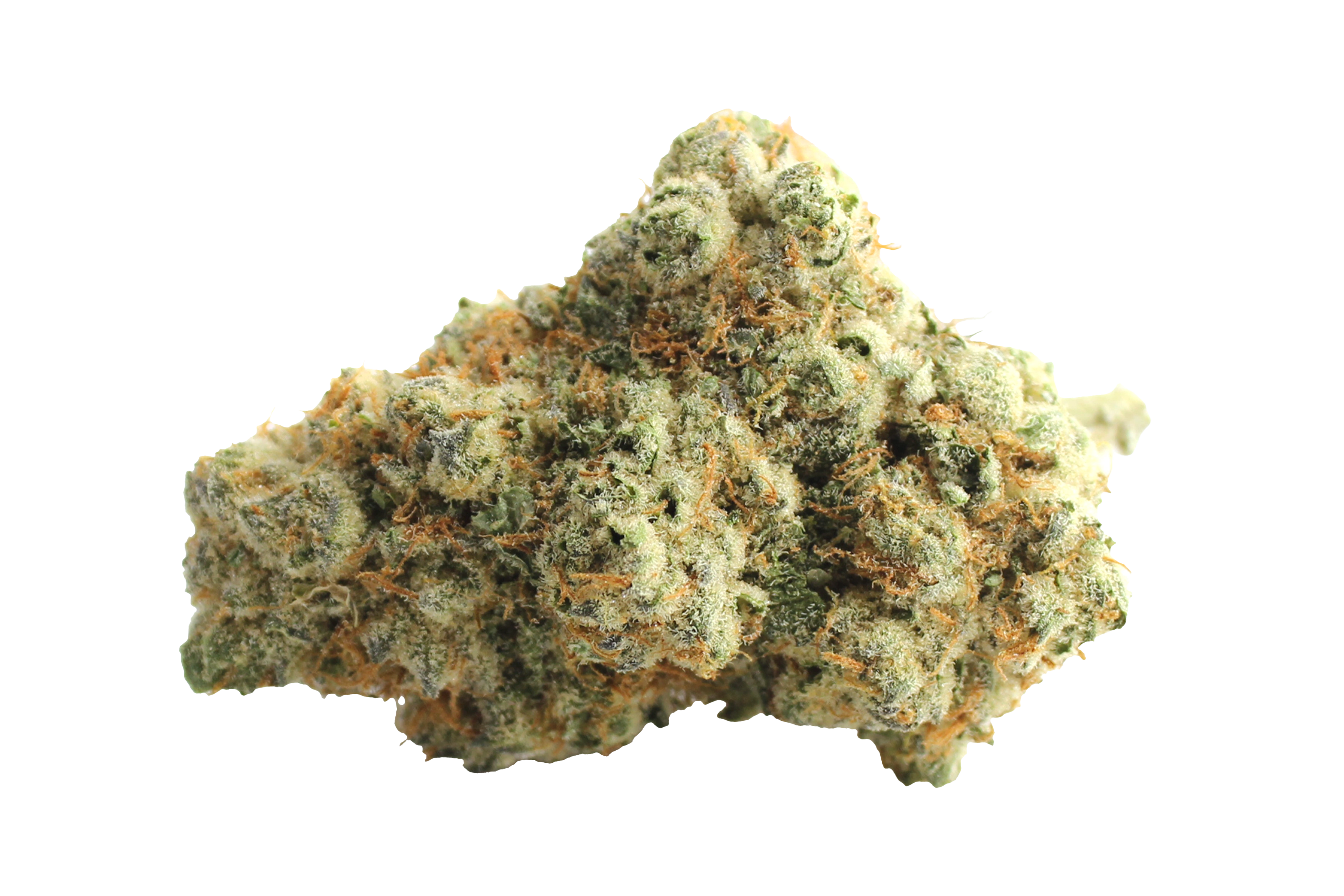 Demecan CRAFT Luna 31/1 Peechy Keen Cannabisbluete