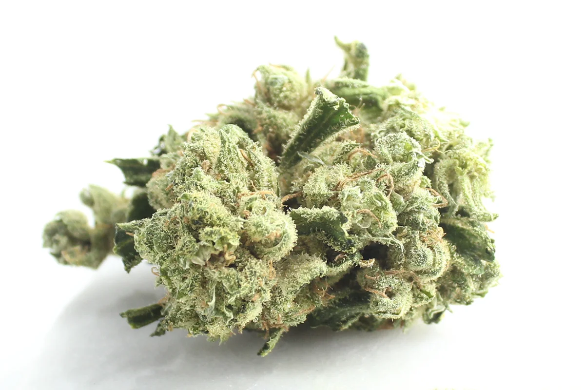 Tilray THC 22 Spotlight Porto Island Sweet Skunk