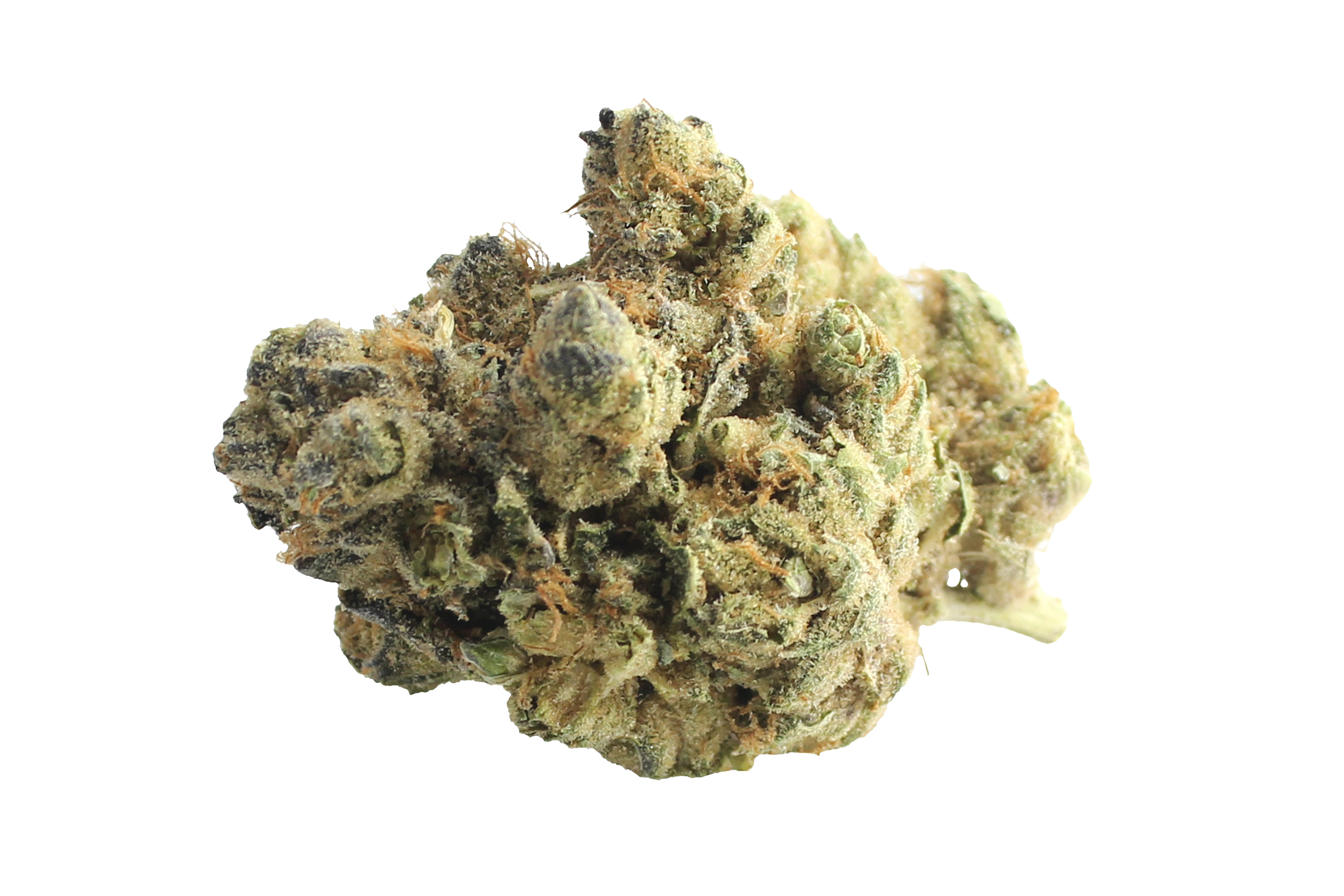 Gruenhorn CPC 25/1 Cappuccino Cannabisbluete