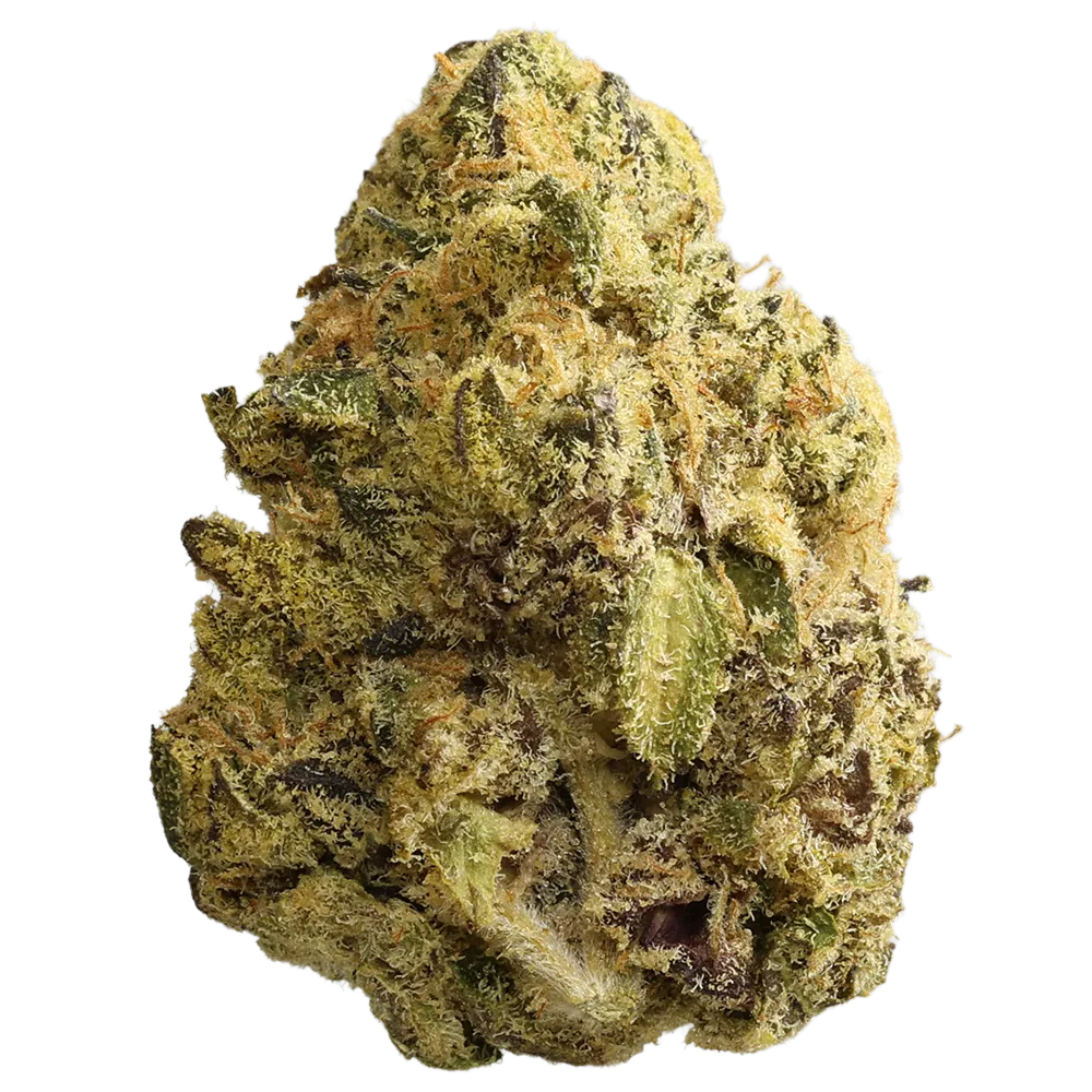 Cannamedical Sativa Forte NM Wedding Tree