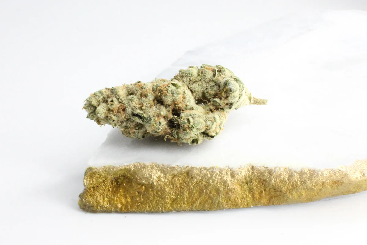 420 Evolution 30 1 CA PCH Peach Chementine