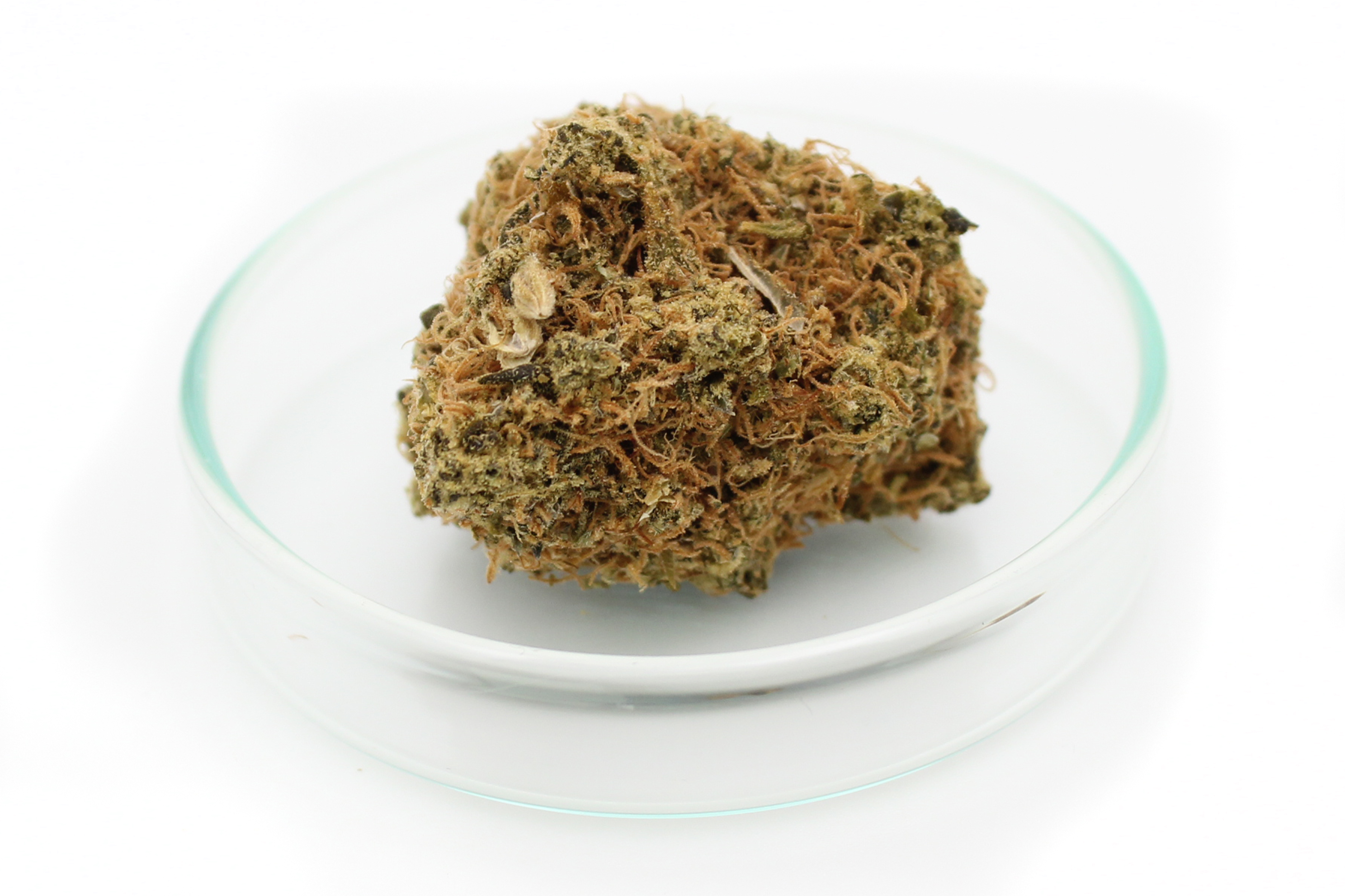 Avaay 24/1 SK: Sour OG Kush