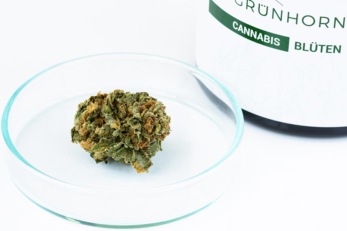 Cannamedical Indica Classic forte MA