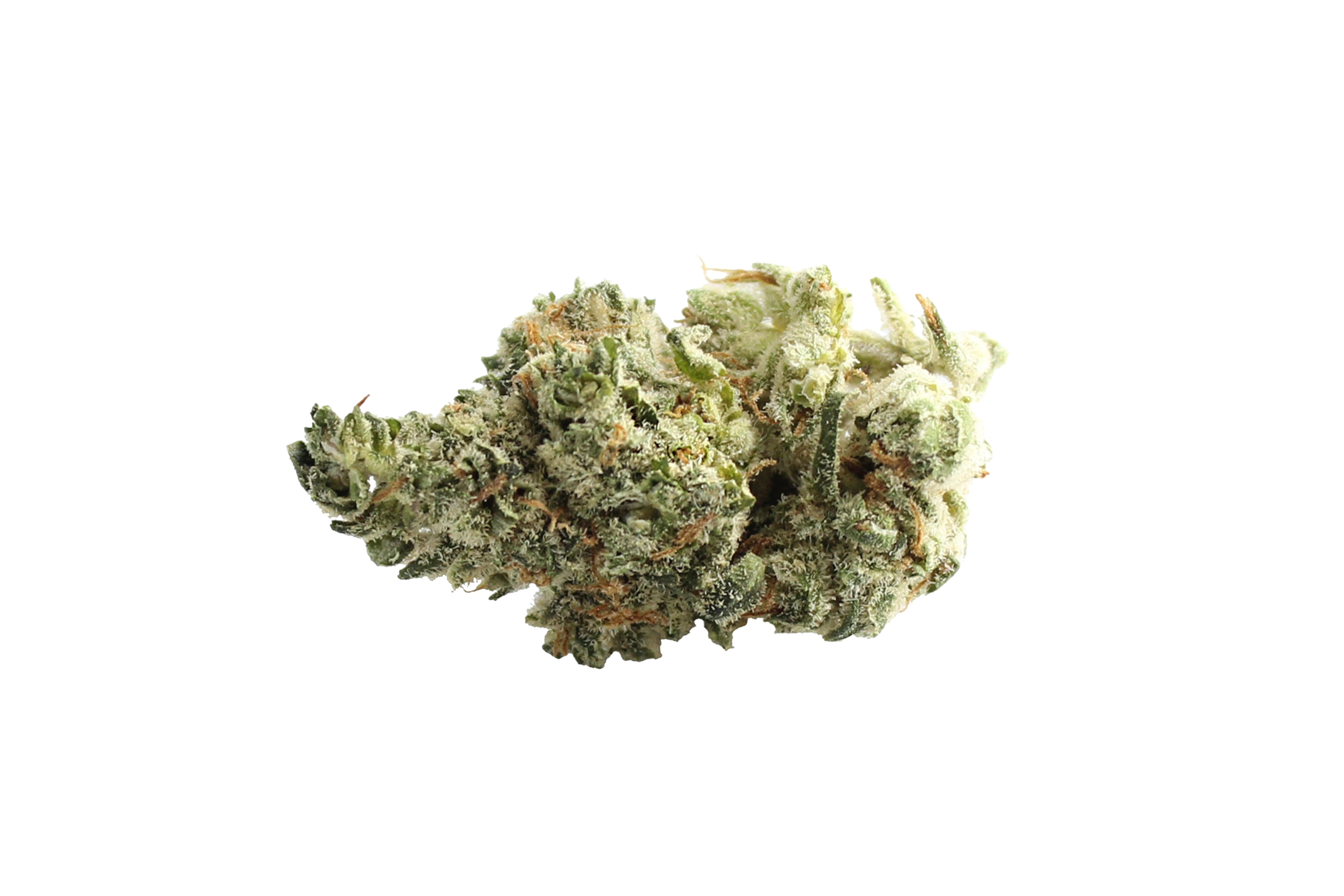 Nimbus Botanics Golden ACE 20/1 Orange Panties Cannabisbluete