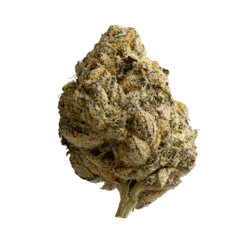 Grünhorn SCK 25/1: Scotti´s Cake