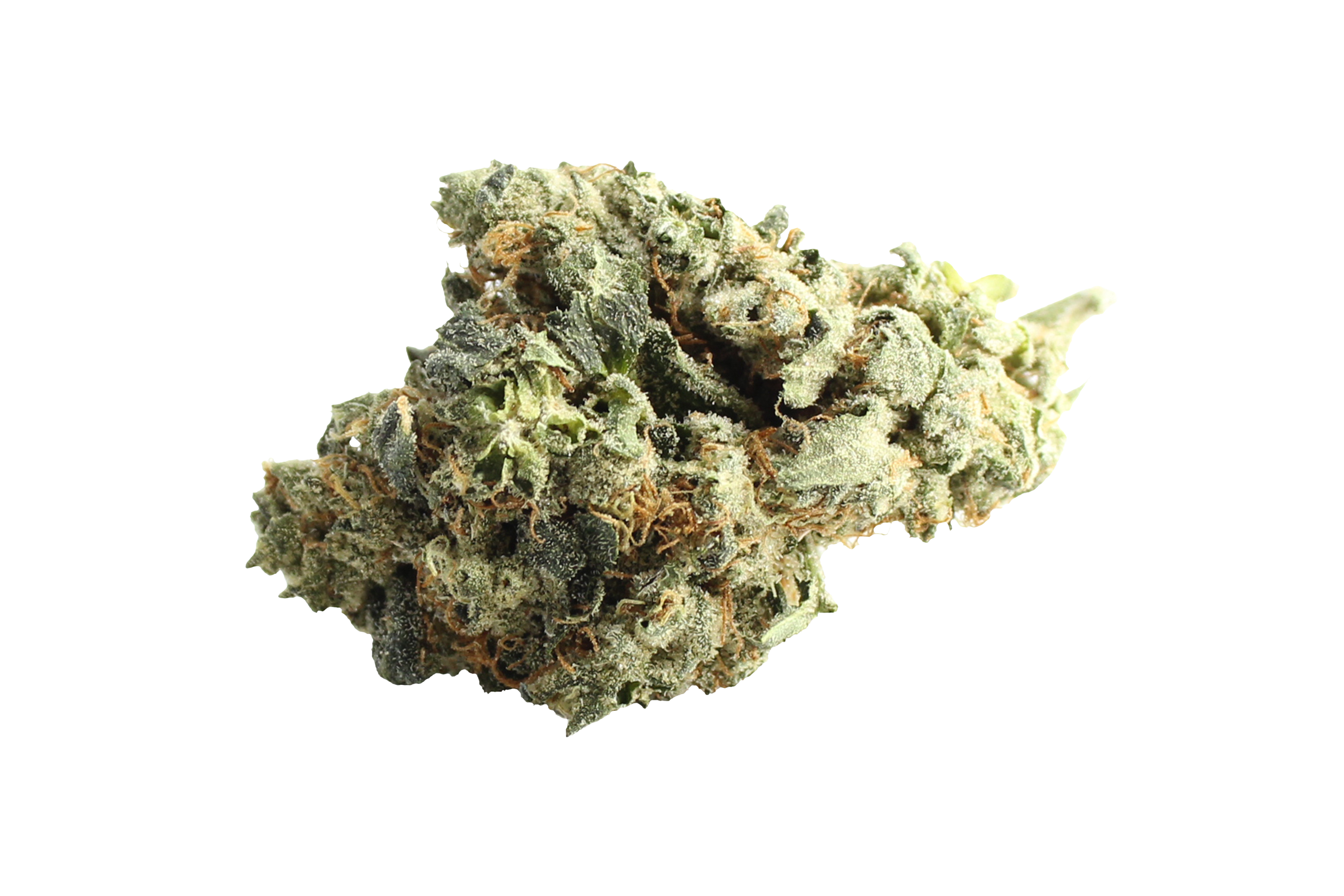 Bathera 26/1 Polar Pop Cannabisbluete