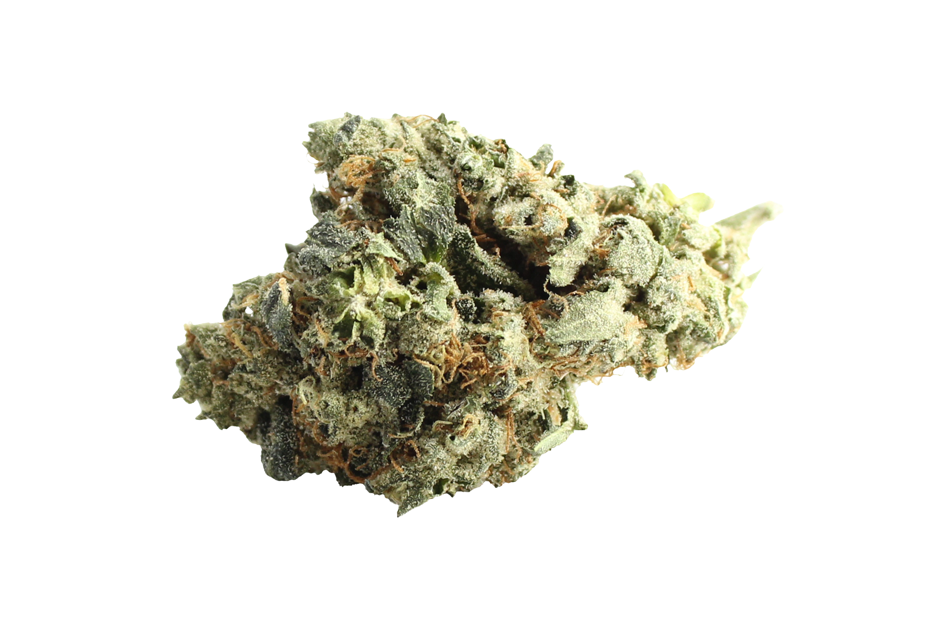 Bathera 26/1 Polar Pop Cannabisbluete