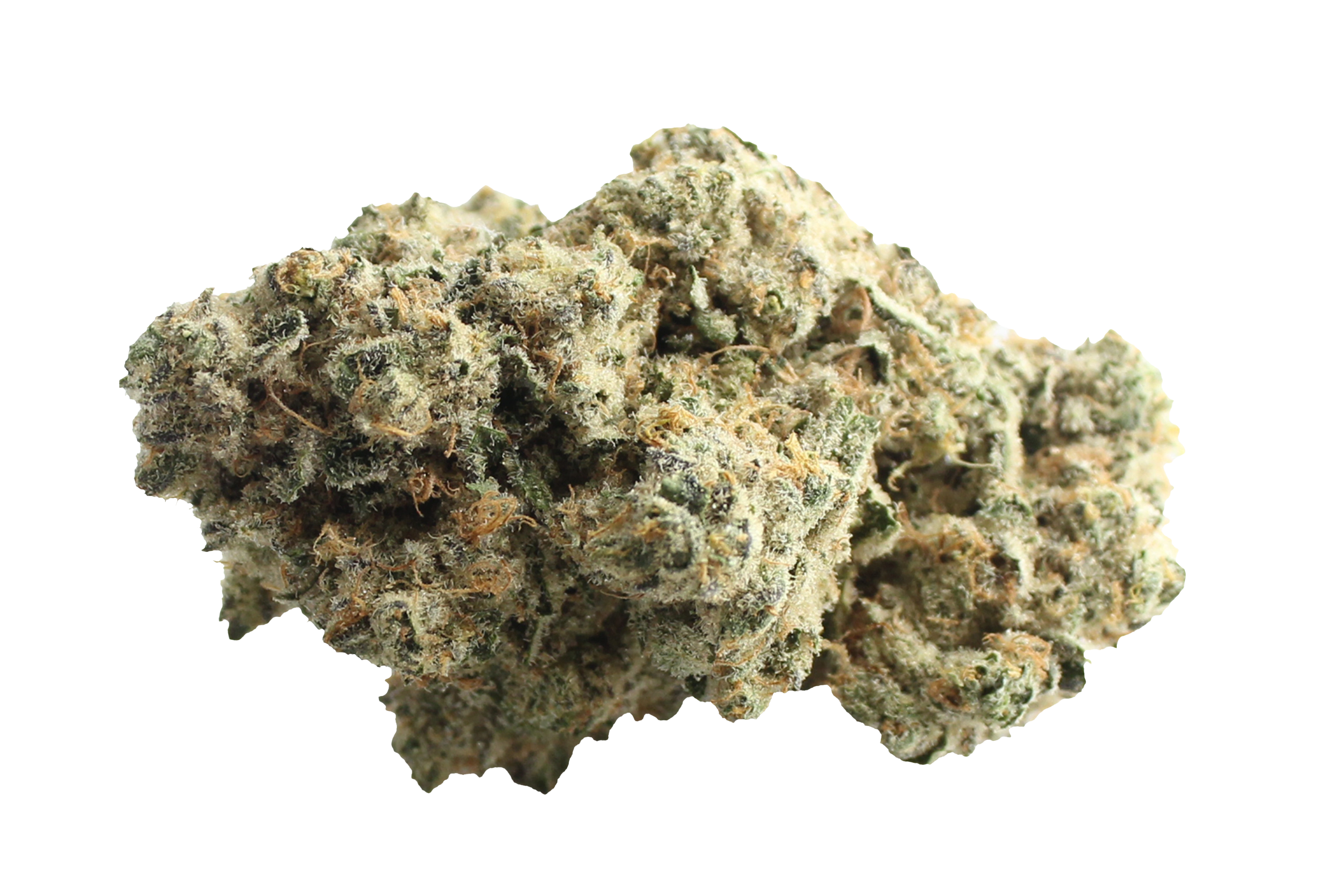 Demecan Craft Walkie Talkie 31/1 Sugar Cake Cannabisbluete