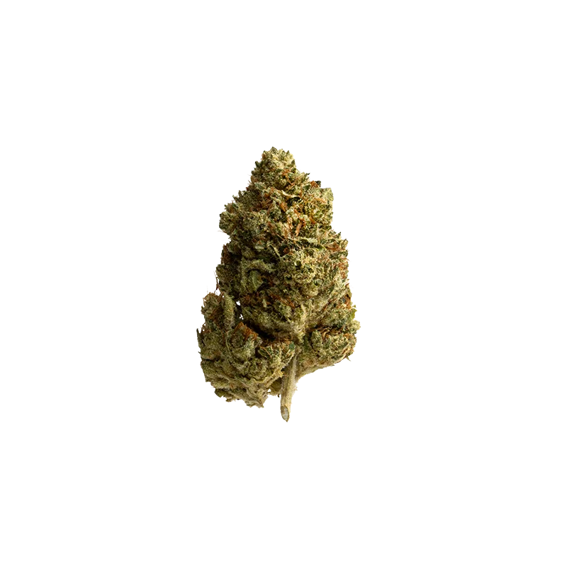 Huala 20/1 CA HOM: Holy Mints