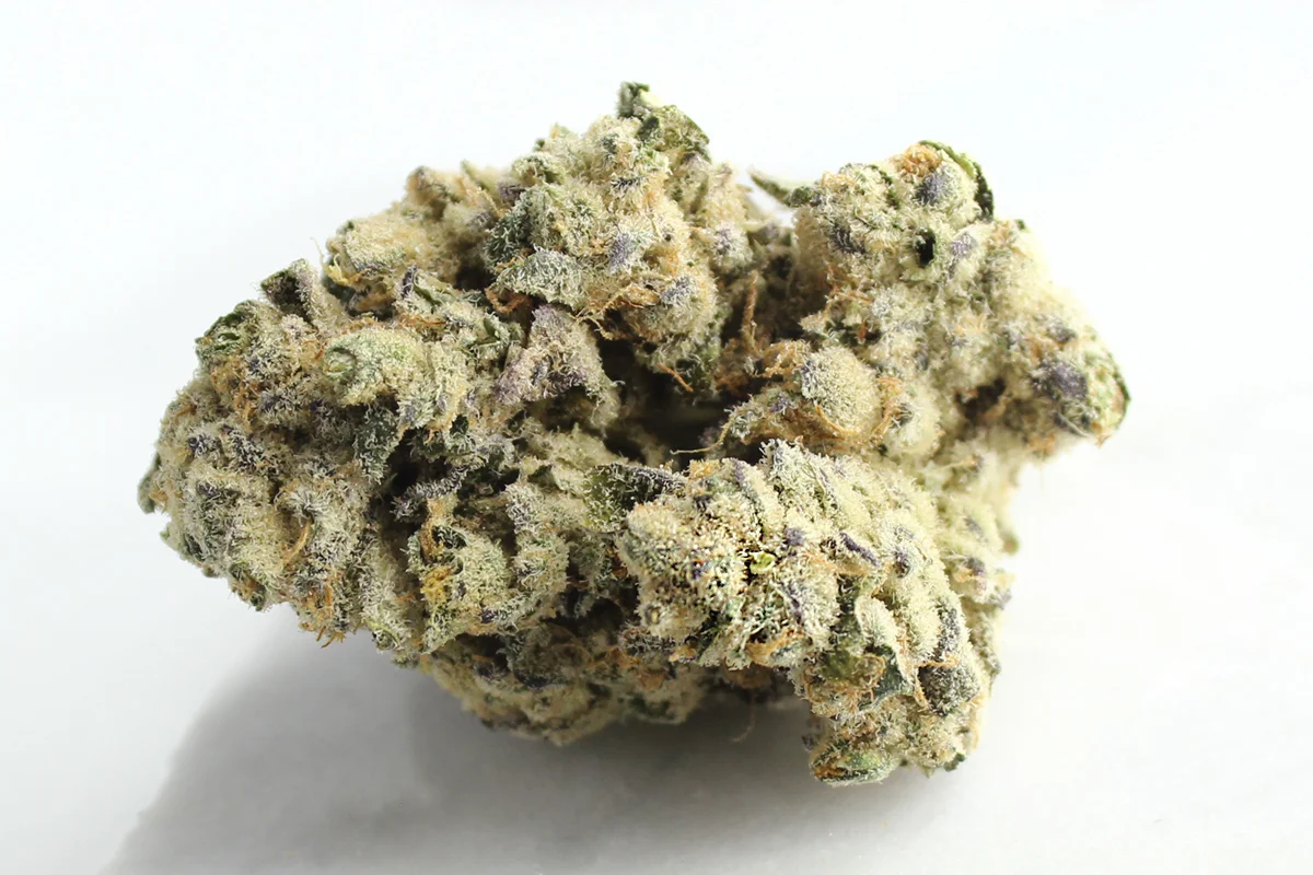 Remexian 30/1 MLT WCK Wes Kush