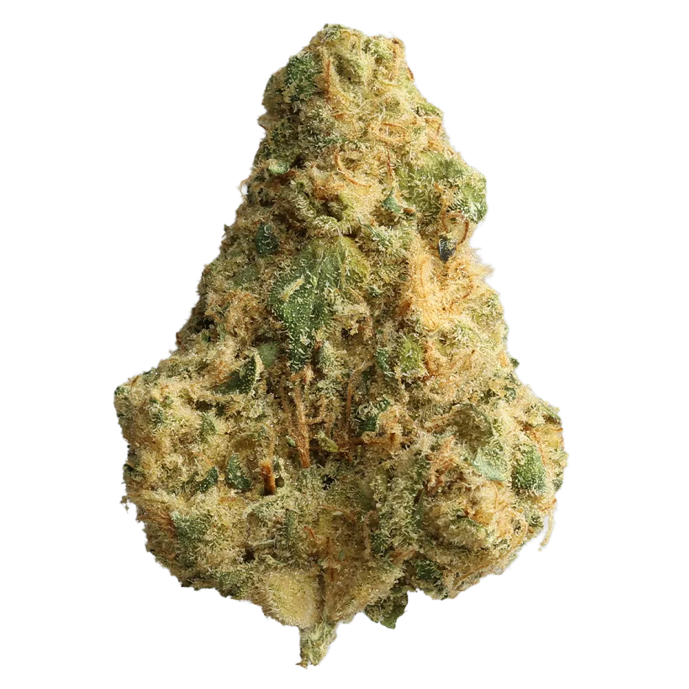 CRQSH GKY 25-1- Gas Monkey