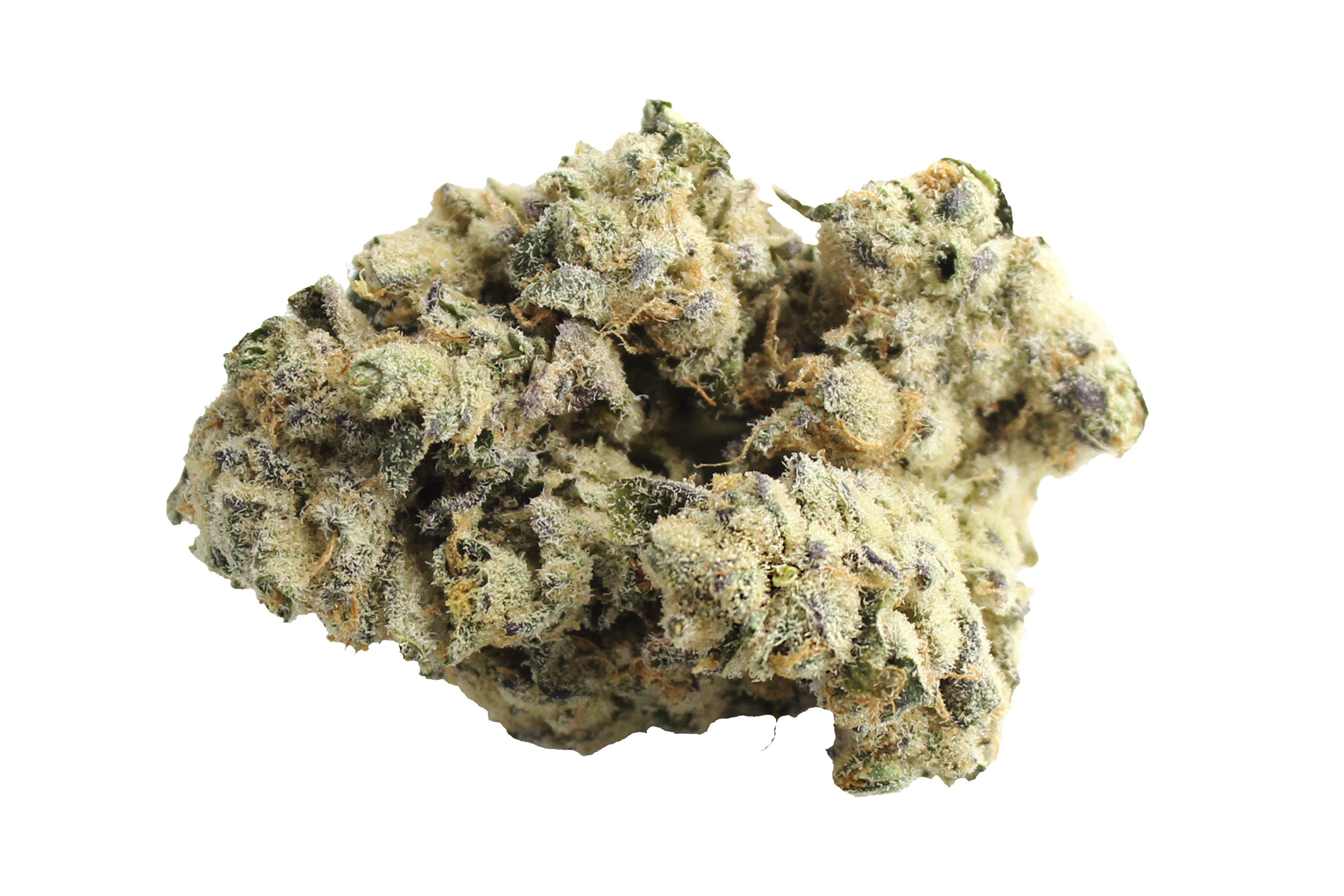 Remexian 30/1 MLT WCK Wes Kush Cannabisbluete