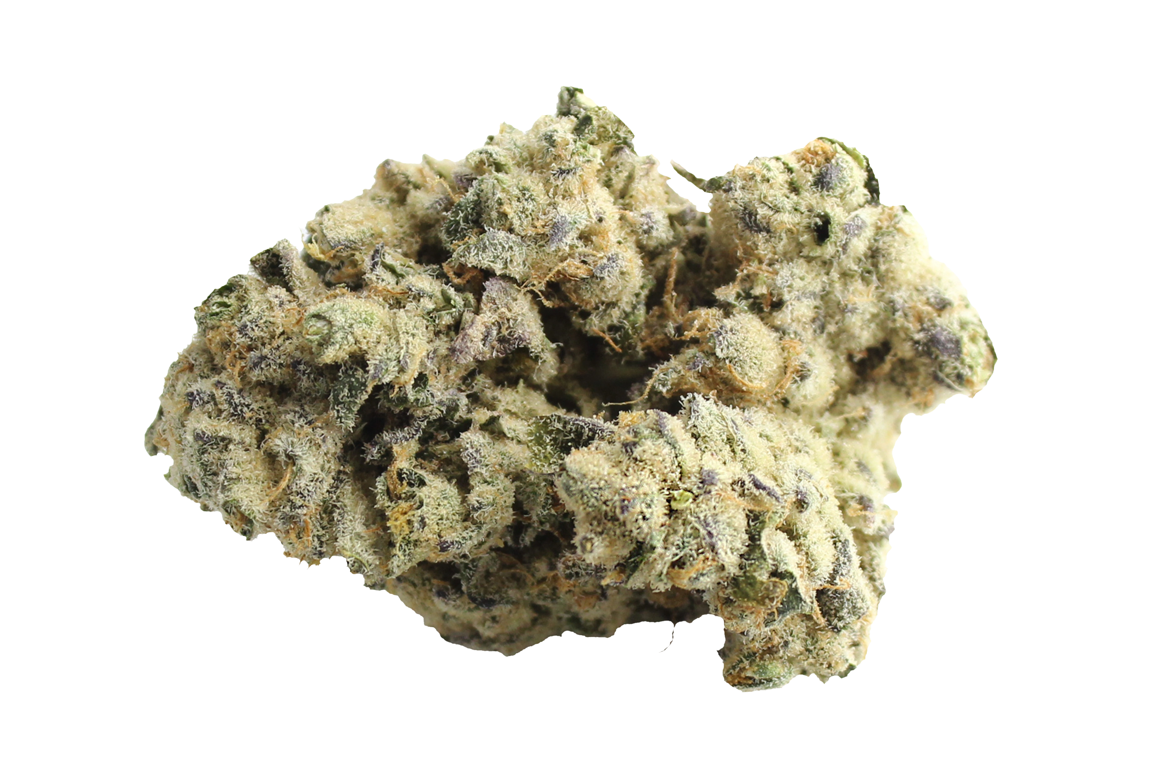 Remexian 30/1 MLT WCK Wes Kush Cannabisbluete