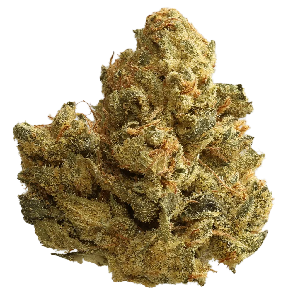Remexian 30/1 GJY Chem Kush