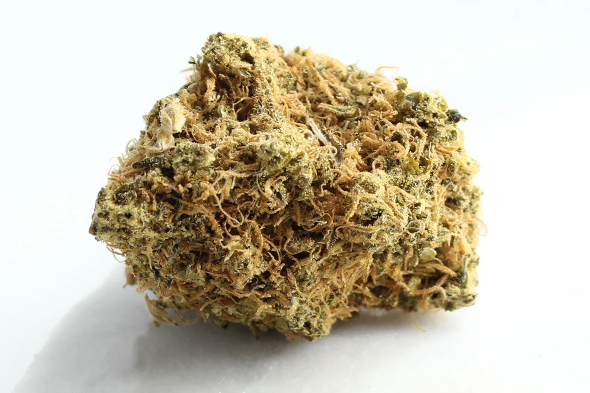 Avaay 24/1 SK Sour OG Kush