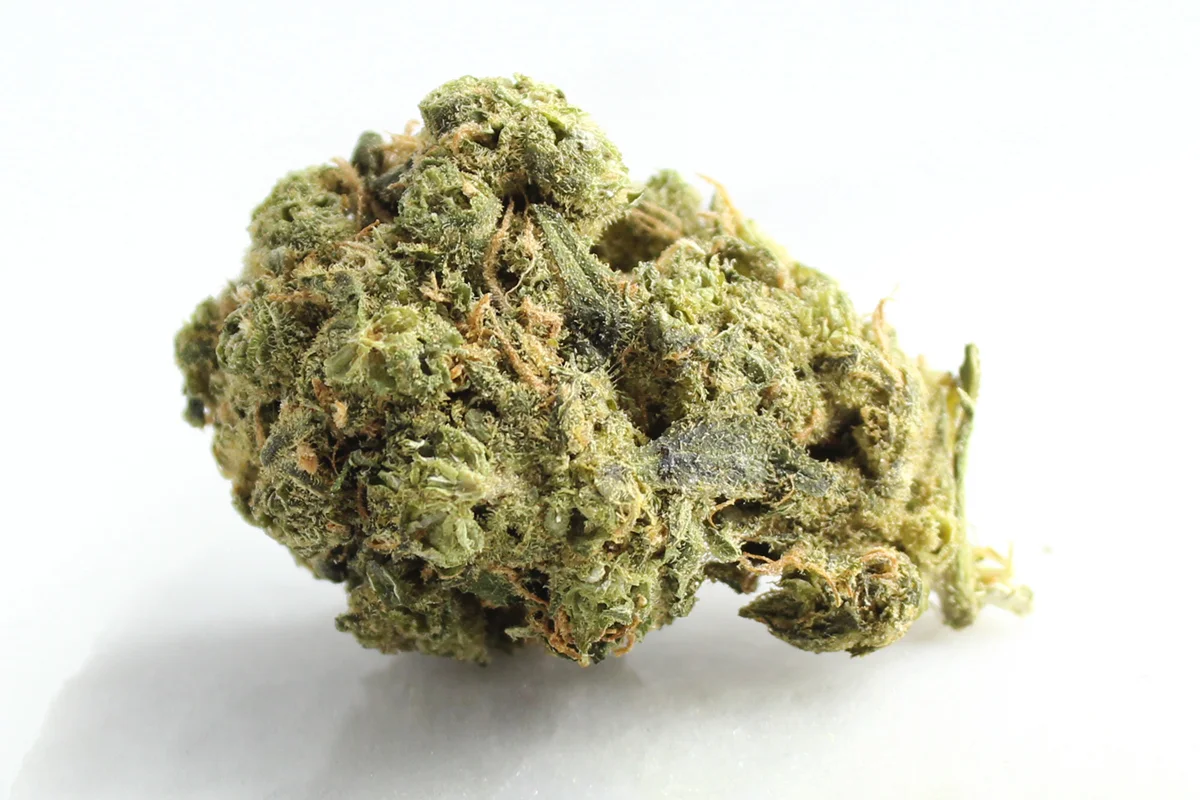 Avaay Zoiks 26/1 LK OG Lime Kush