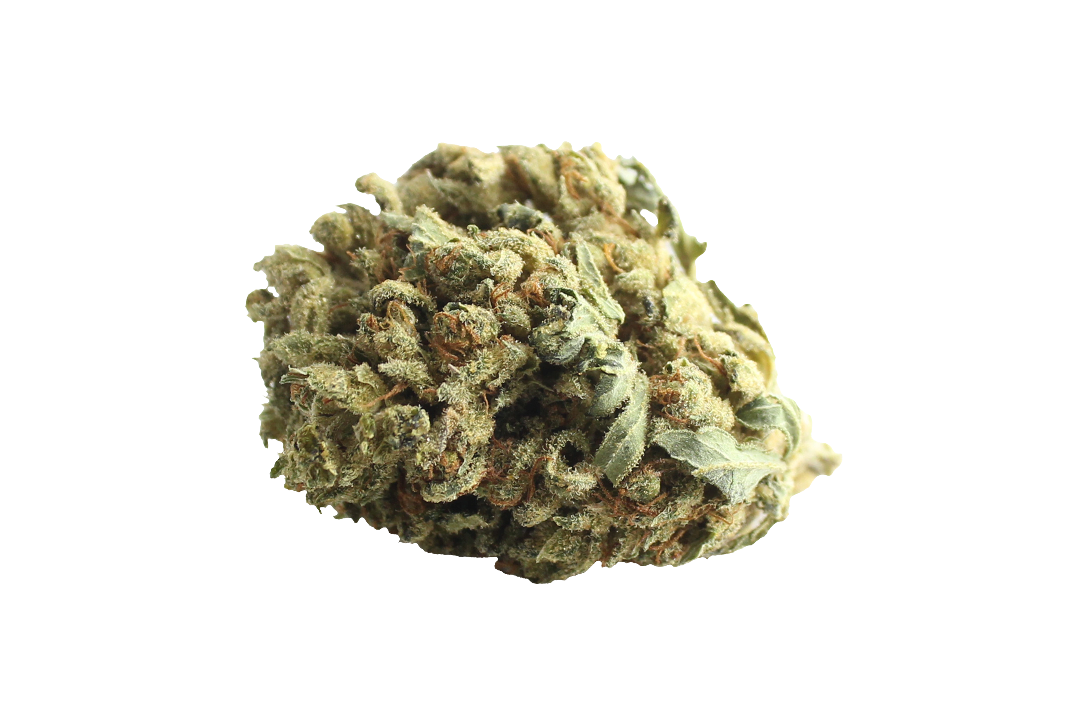 Tilray THC9 CBD9 Warlock Cannabisbluete