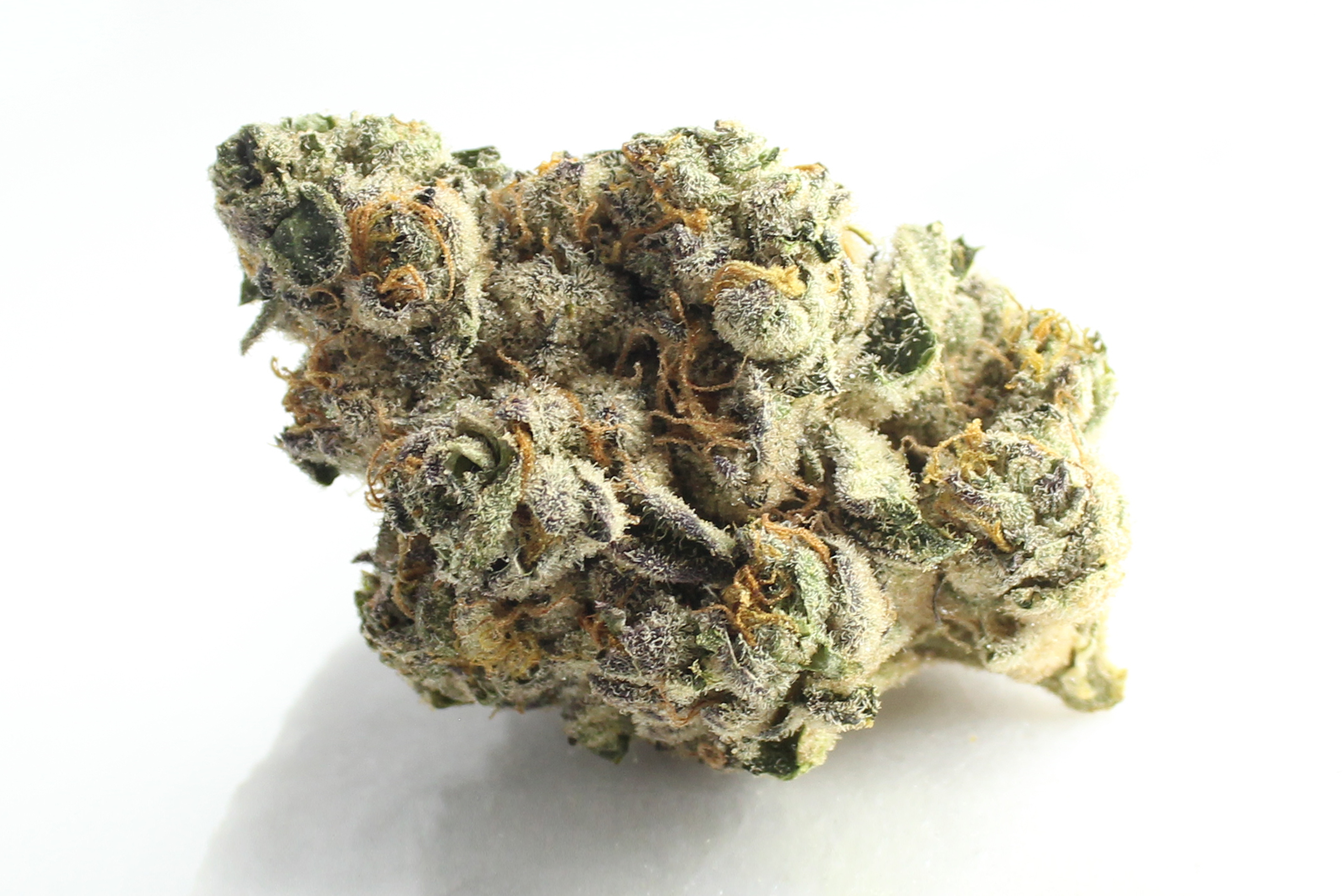 Demecan Core Saxonia 28:01: Wedding Cake X Jet Fuel Gelato