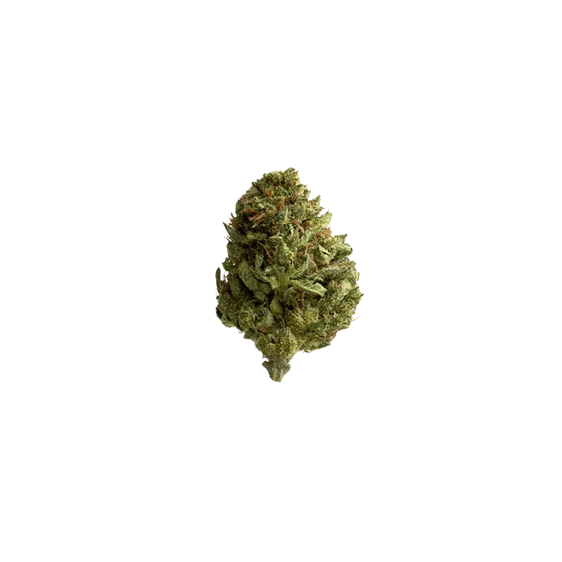 Luana 18/1 Varin: Dougs Varin