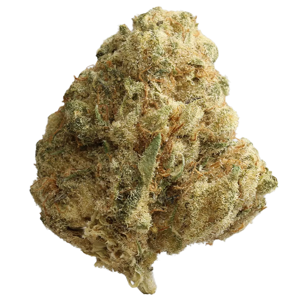 Grünhorn PG 30/1 Pink Grapes