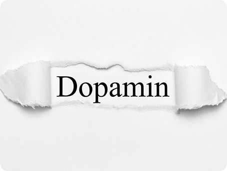 Cannabis-Dopamin - Wie Cannabinoide das Belohnungssystem beeinflussen