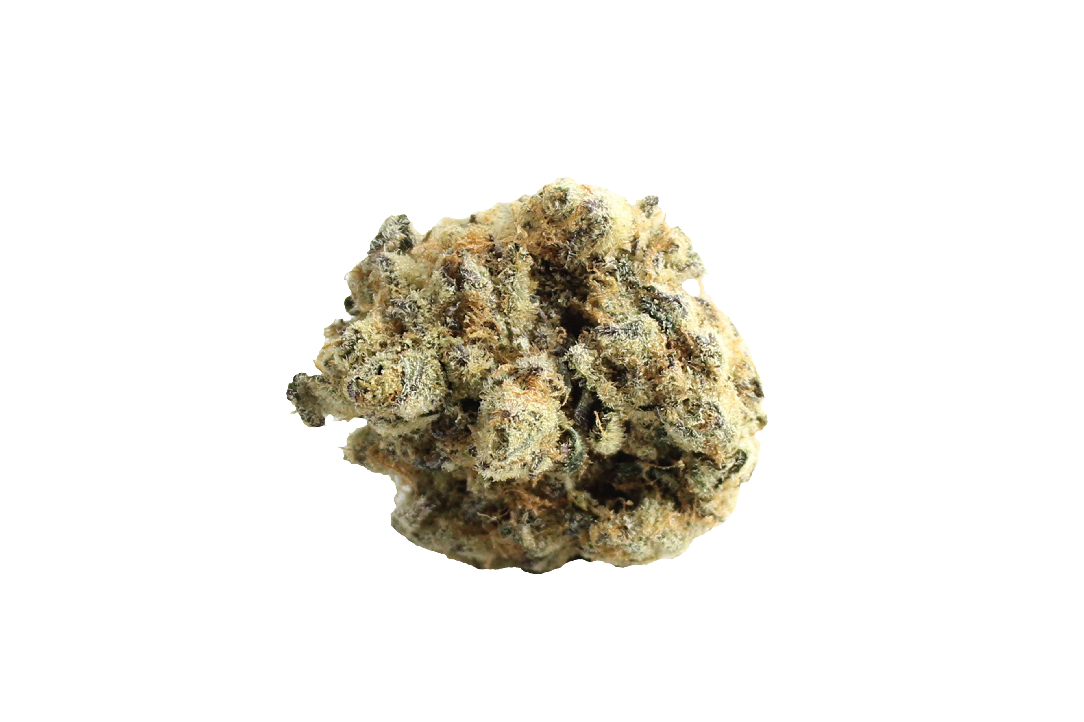 Remexian 27/1 GRG Grape Galena Cannabisbluete