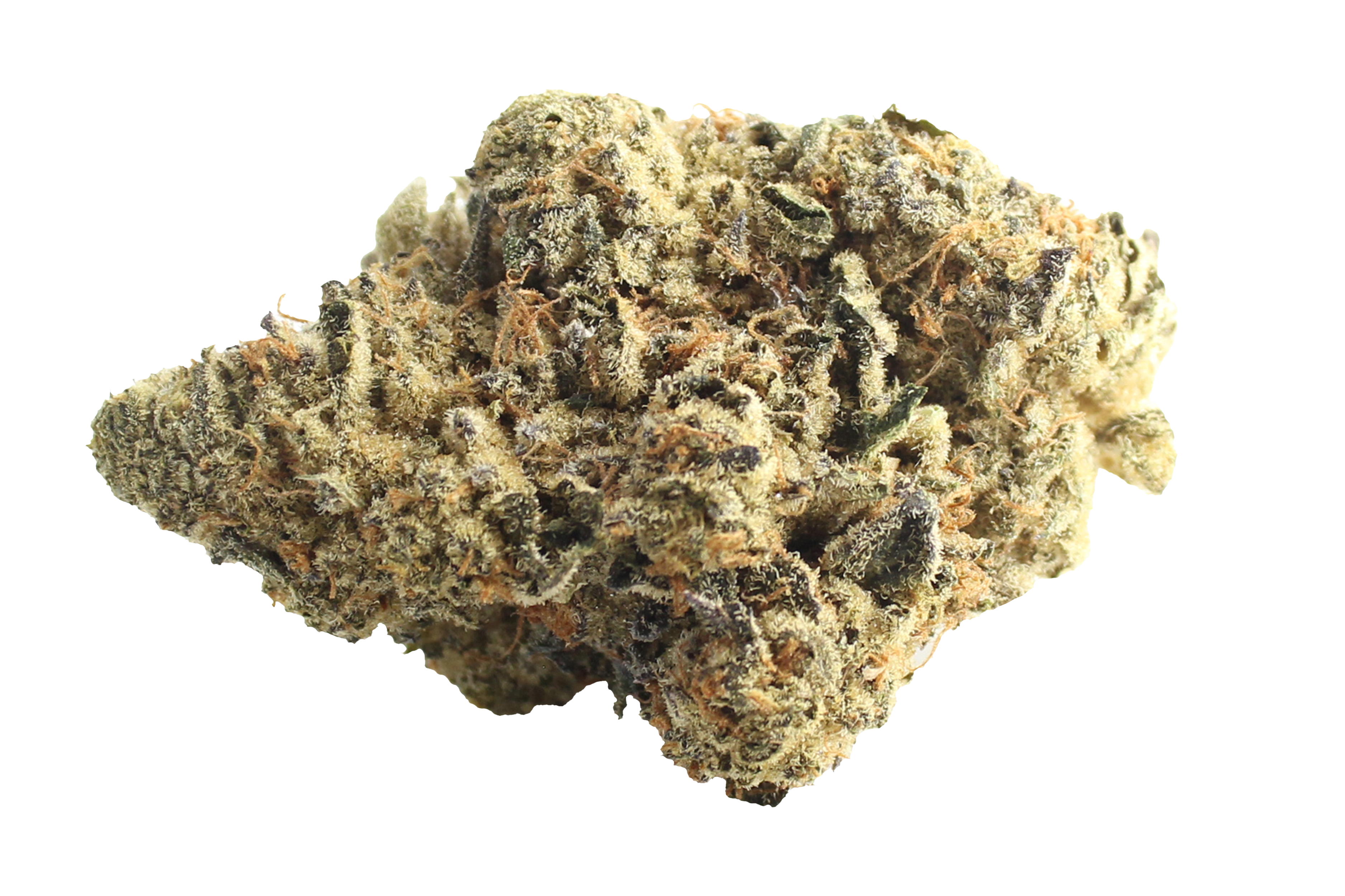 Cannamedical Indica Forte El Jefe Cannabisbluete