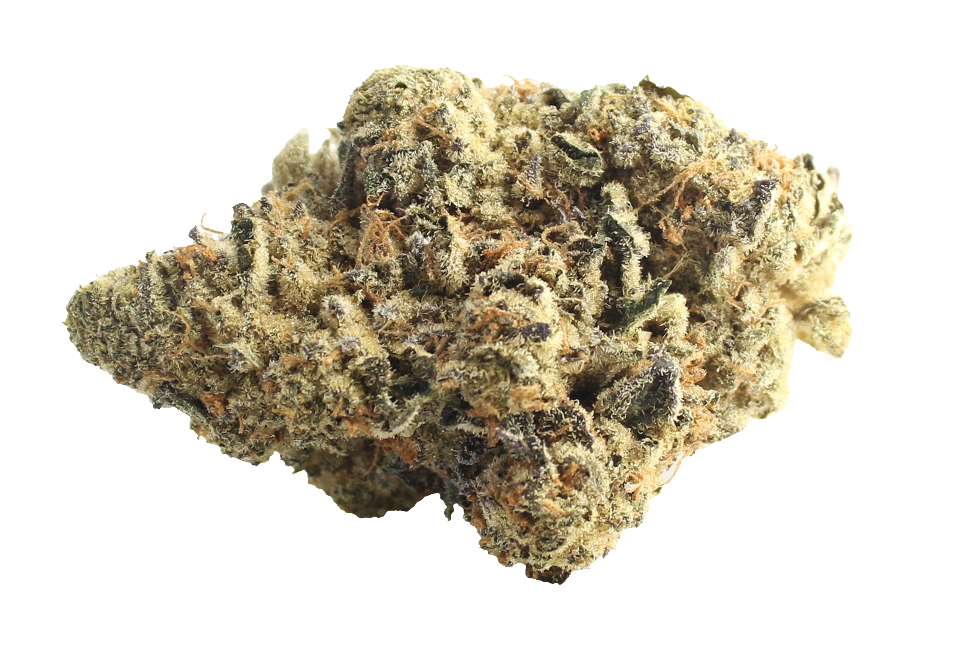 Cannamedical Indica Forte El Jefe Cannabisbluete