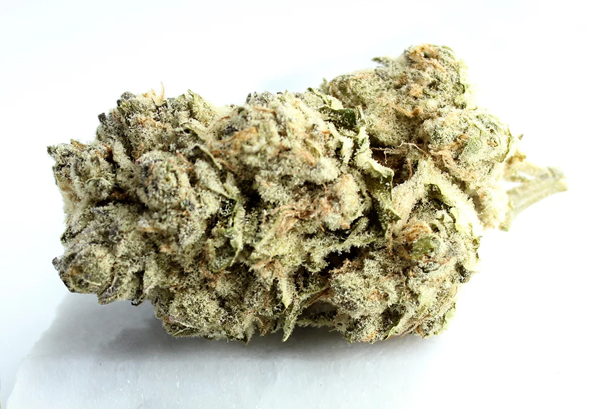 Enua 22/1 BCP CA Black Cherry Punch