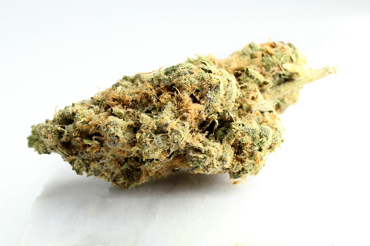 Remexian 30/1 CHE: Chem Cookies