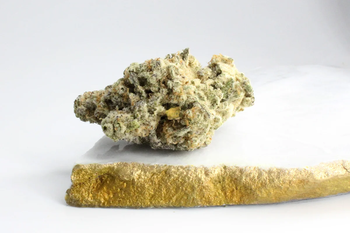 420 Evolution 22 1 CA MAC 1
