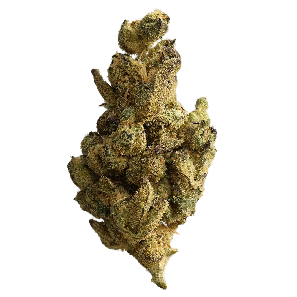 PHCANN Exotics 32-1- Spritzer