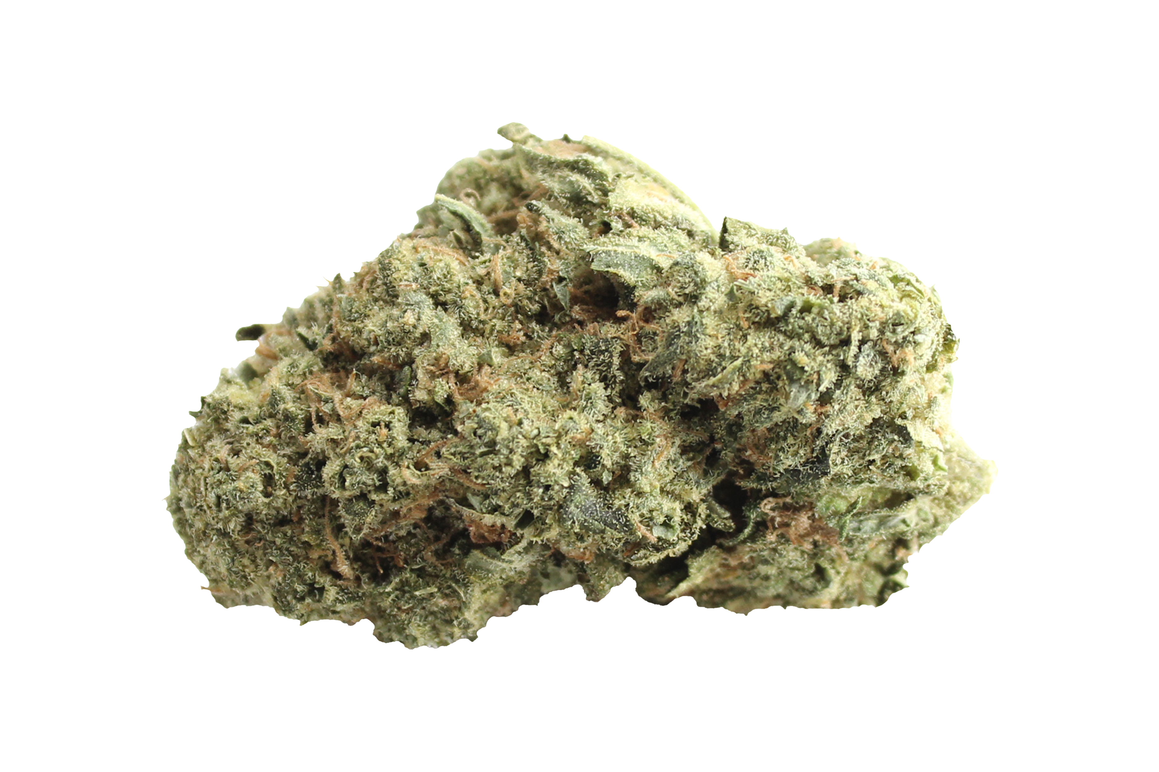 Enua 30/1 LHZ CA Lemonade Haze Cannabisbluete
