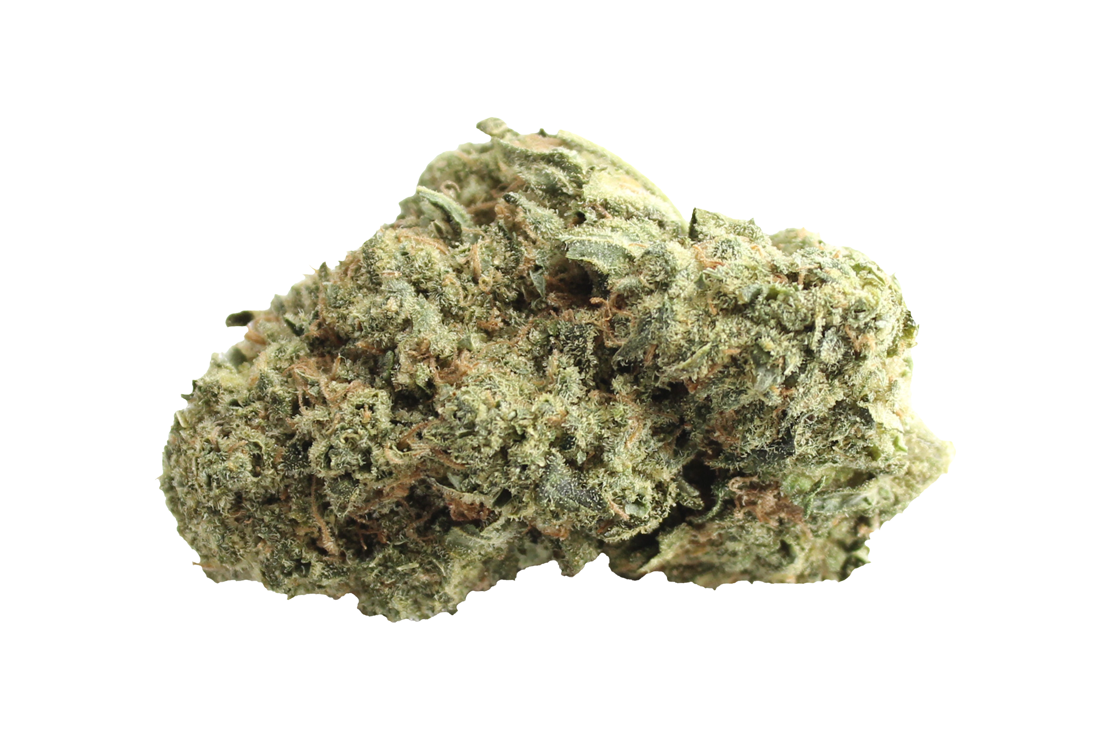 Enua 30/1 LHZ CA Lemonade Haze Cannabisbluete