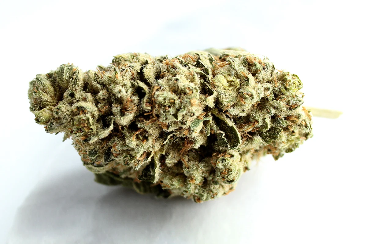 Enua 22/1 JFG CA Jet Fuel Gelato