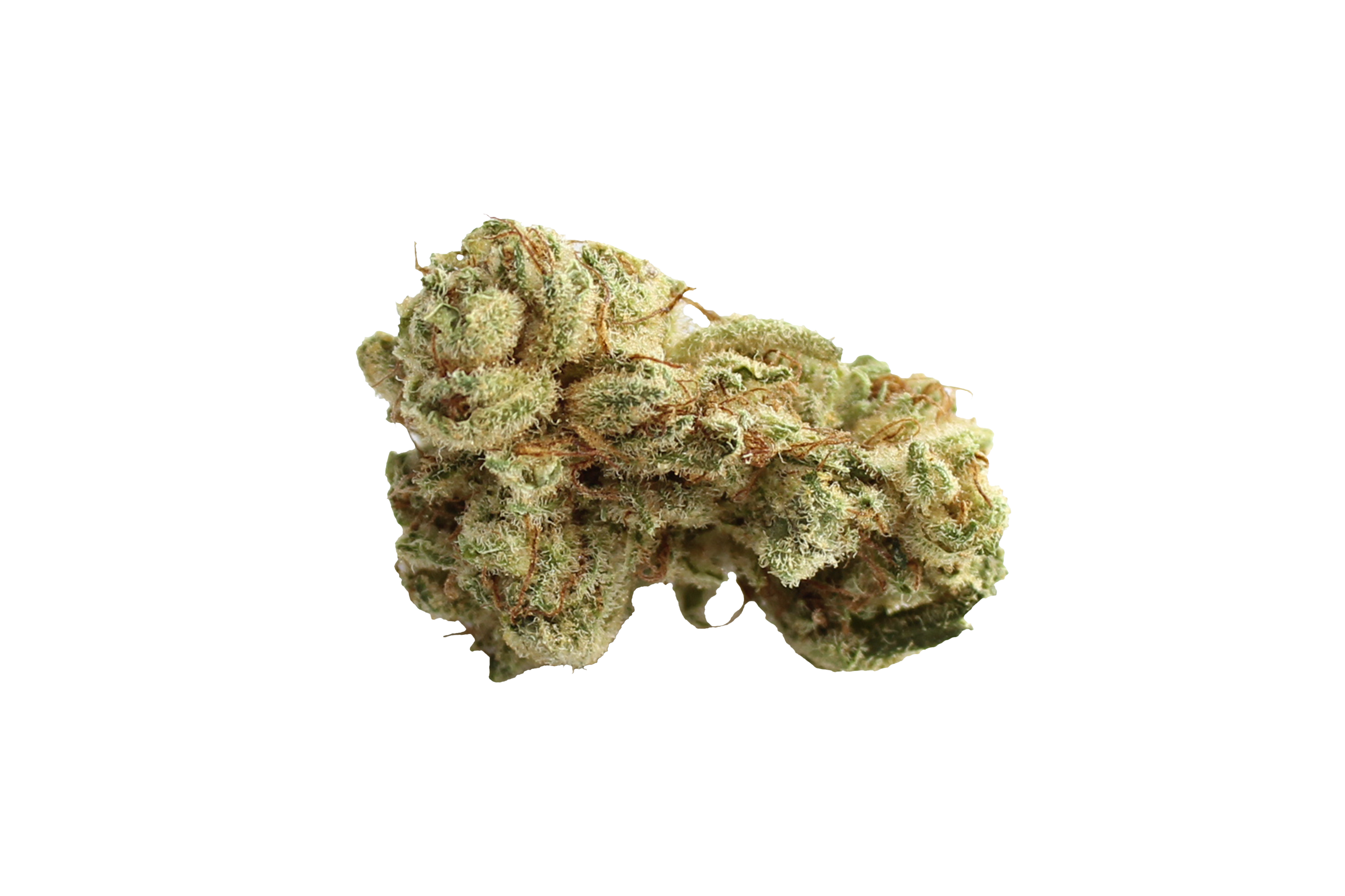 Tilray THC18 Spotlight Porto Lilac Diesel Cannabisbluete