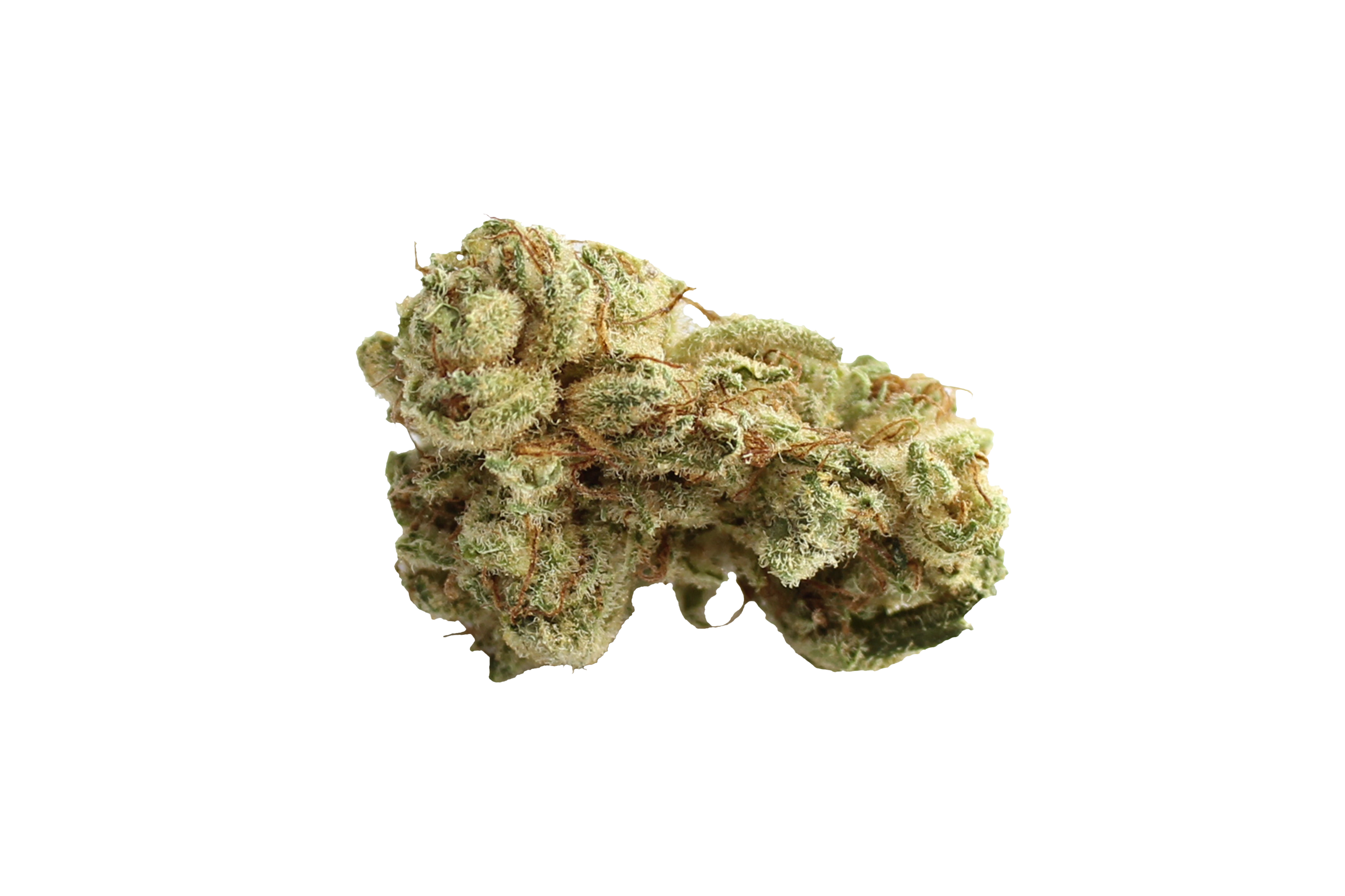 Tilray THC18 Spotlight Porto Lilac Diesel Cannabisbluete