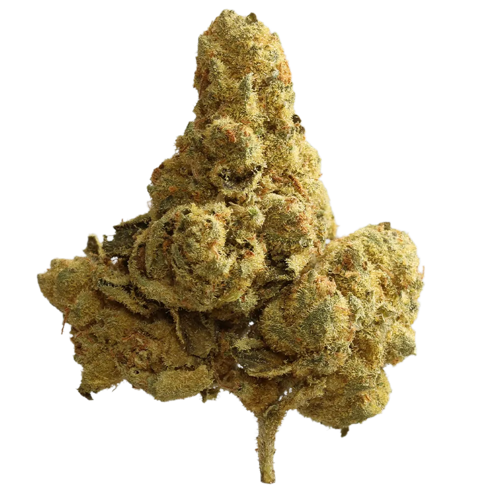 Remexian 18/1 ALL Amnesia Haze