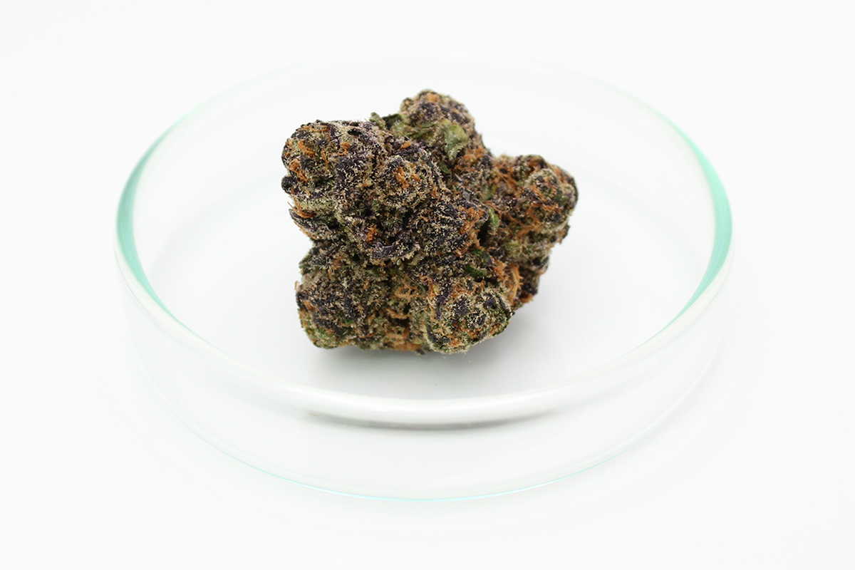 420 Compound 27/1 CA GAP: Gastro Pop