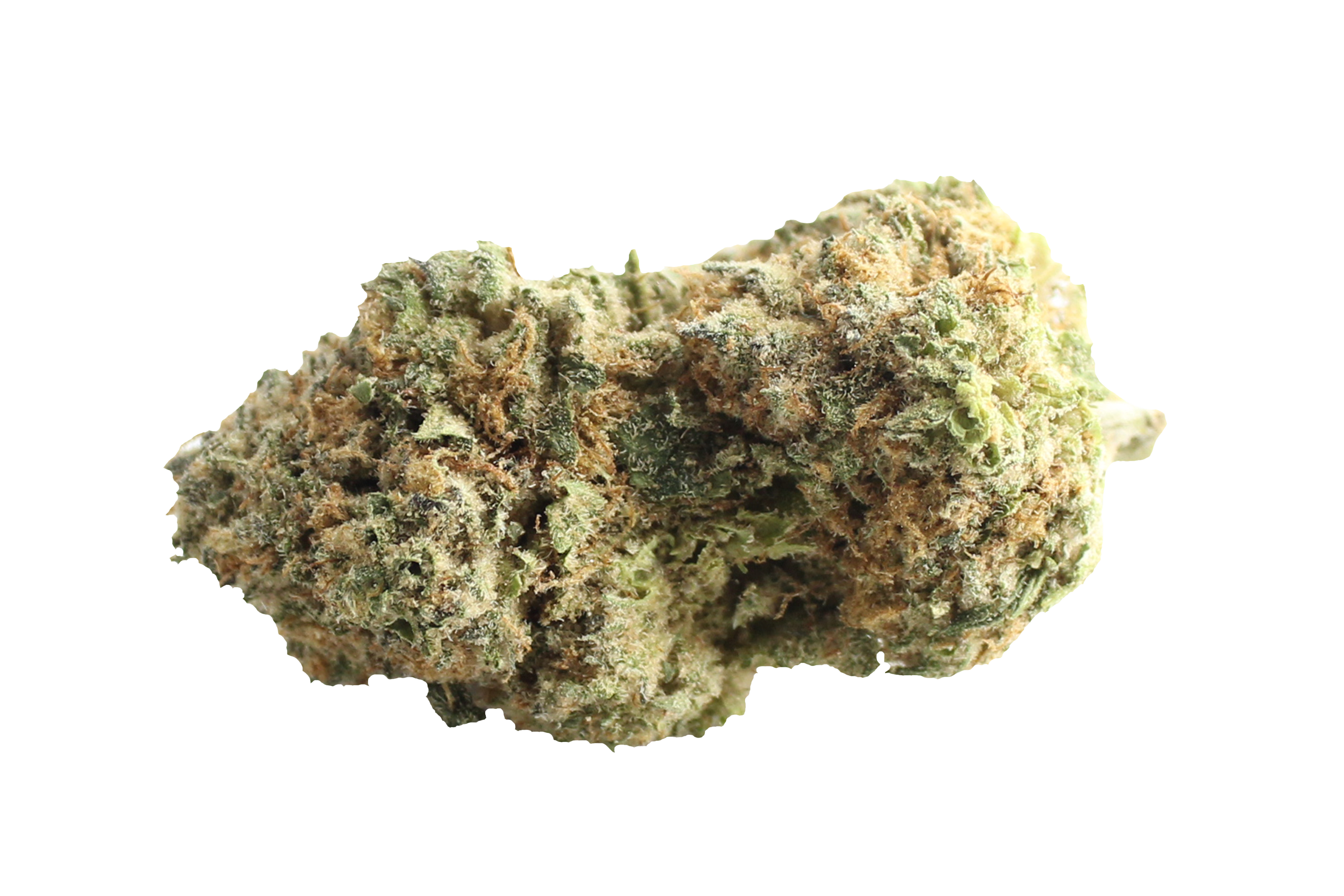 Aurora Pedanios 27/1 BLY-CA Black Jelly Cannabisbluete