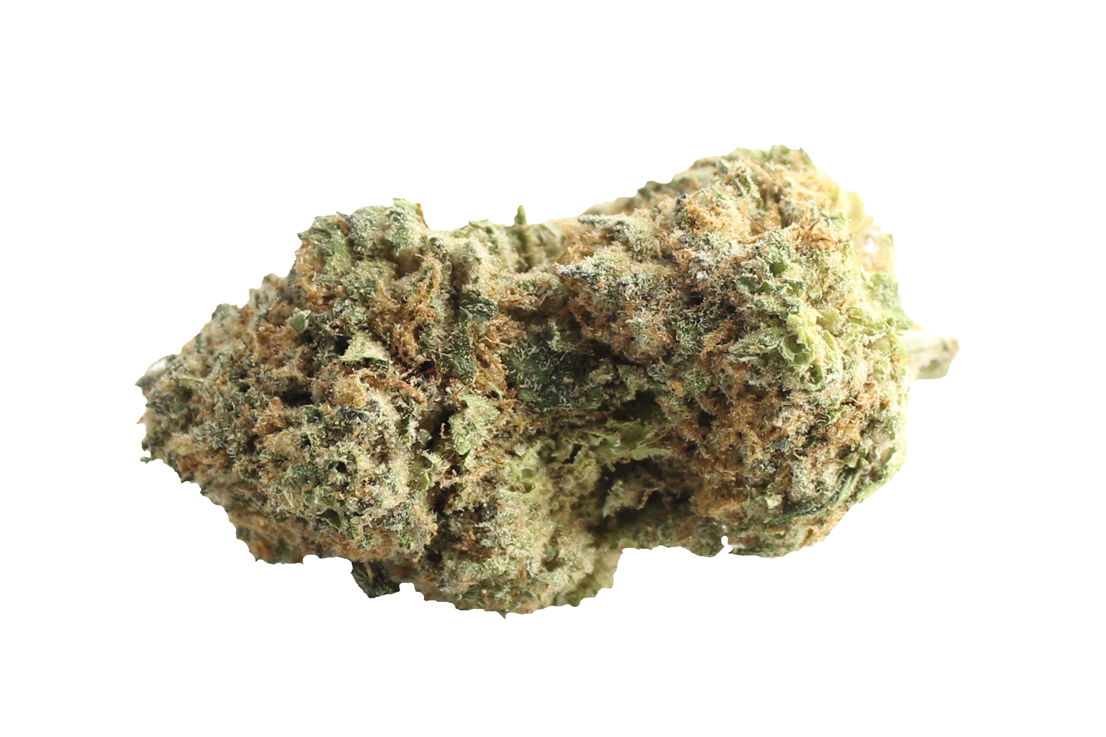 Aurora Pedanios 27/1 BLY-CA Black Jelly Cannabisbluete
