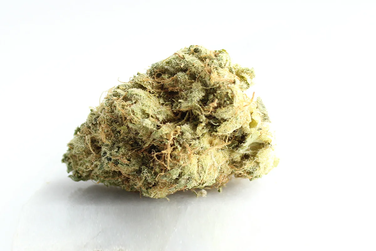 Avaay Signature 29/1 OGC Ocean Grown Cookies