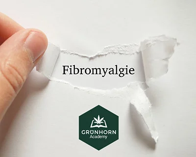 Cannabis bei Fibromyalgie - Grünhorn Academy