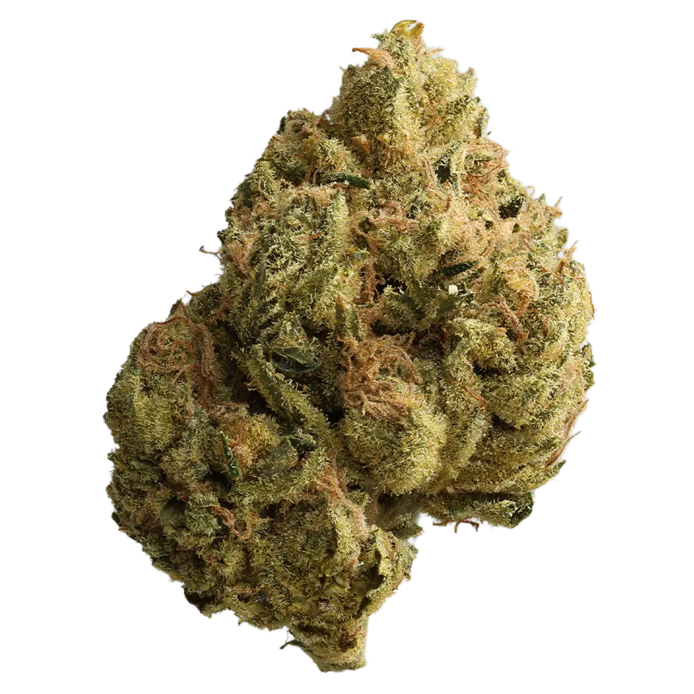 Cannabis flos 23/1 ES Ku. Dos Y Dos DP