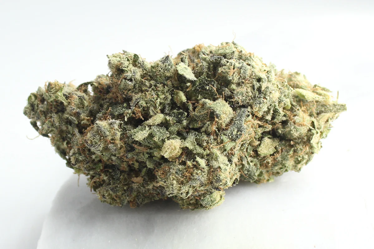 Bathera 28/1 Facetz