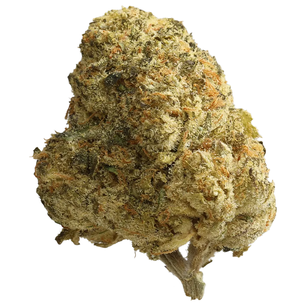 Cannabis flos 22/1 CZE Ku. Mochi