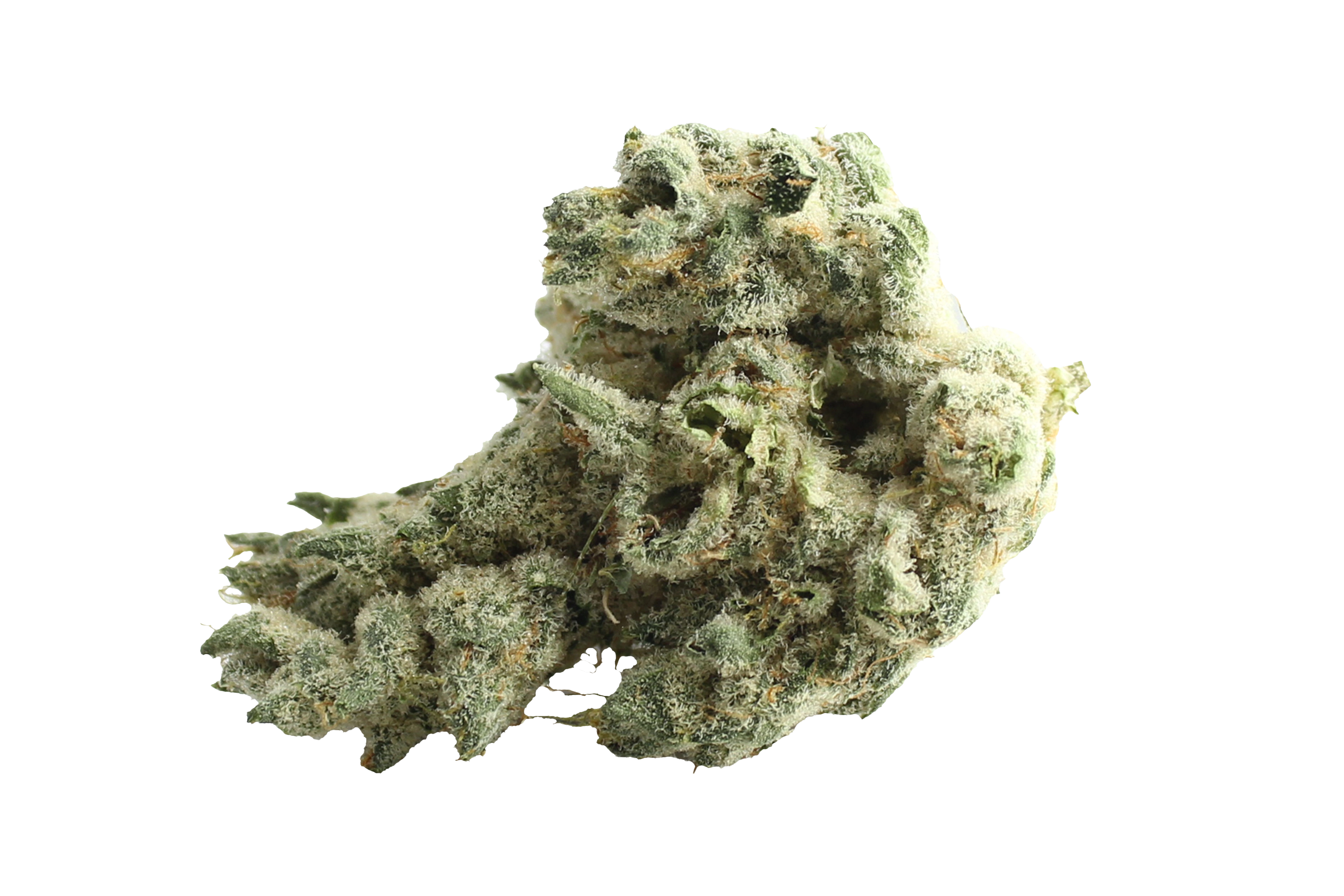 Four20Pharma 420 Evolution 30/1 CA PCH Peach Chementine Cannabisbluete