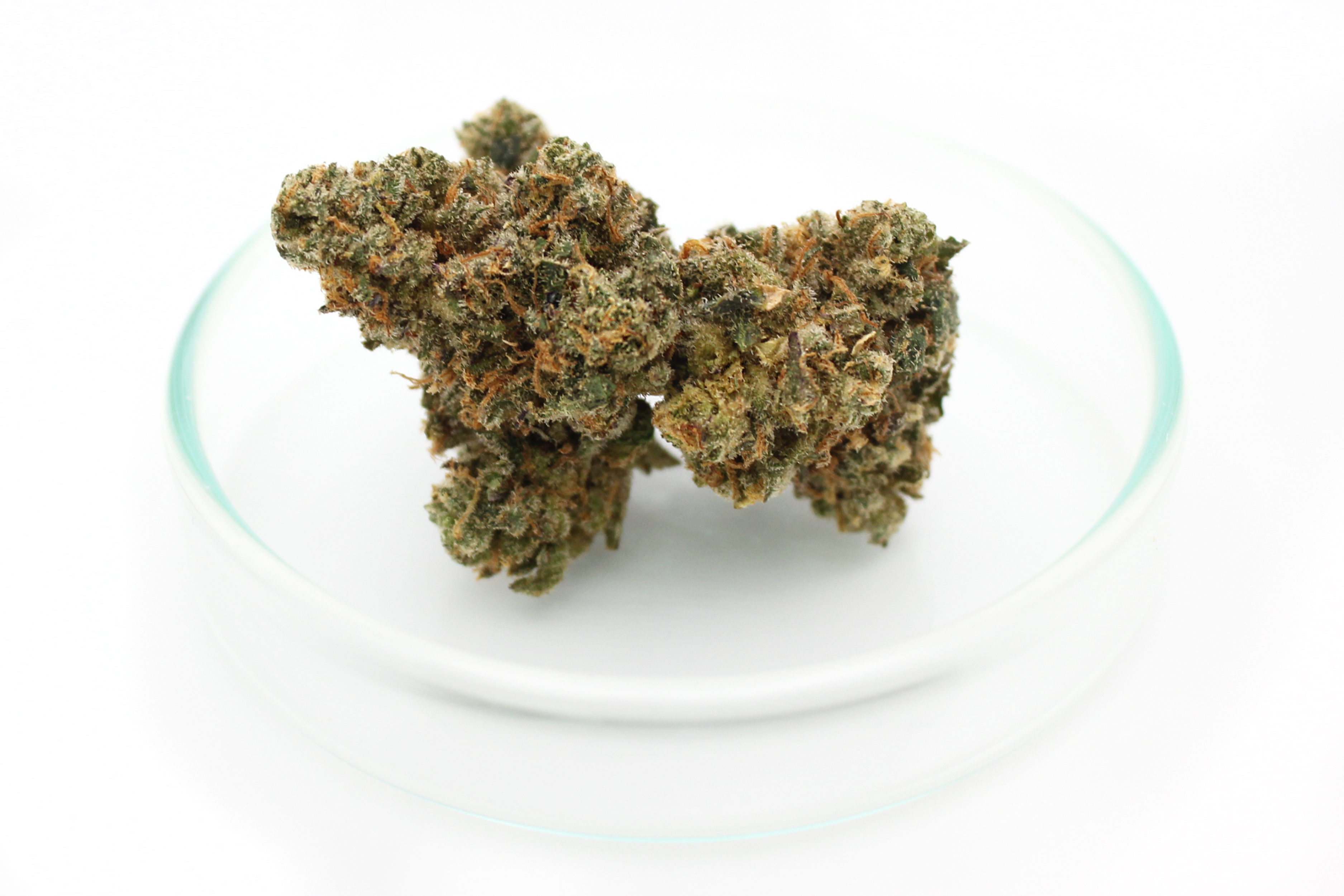 420 Evolution 30/1 CA FLM: Frozen Lemon Mints
