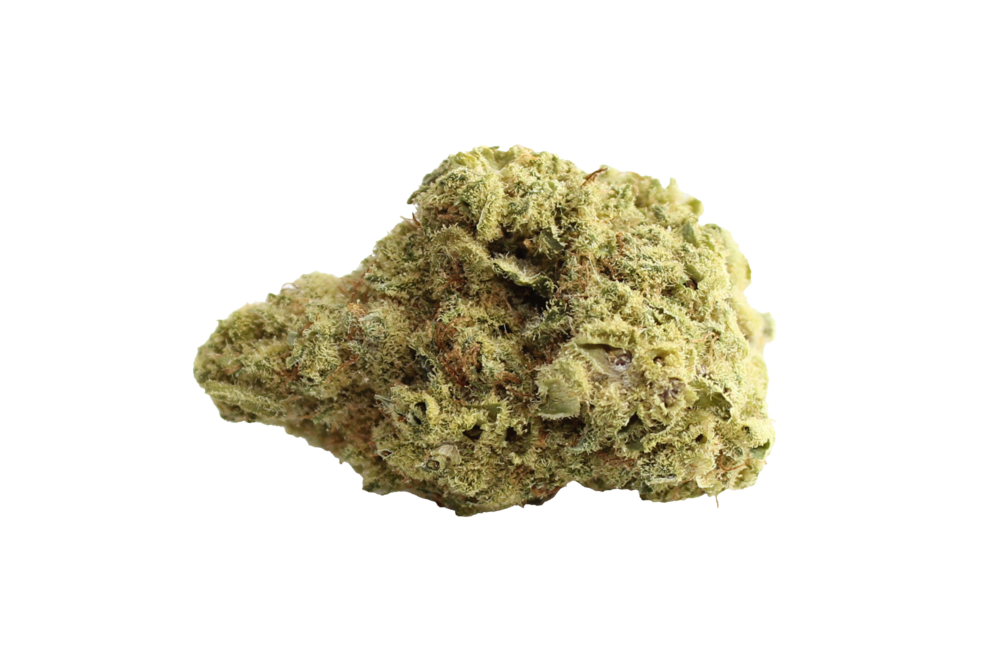 Remexian Eufloria 24/1 BAN Banjo Cannabisbluete